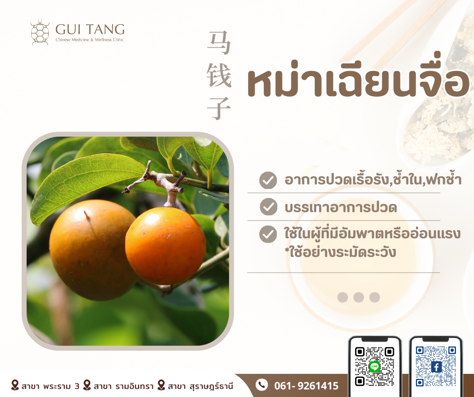 สมุนไพรน่ารู้“หม่าเฉียนจื่อ”