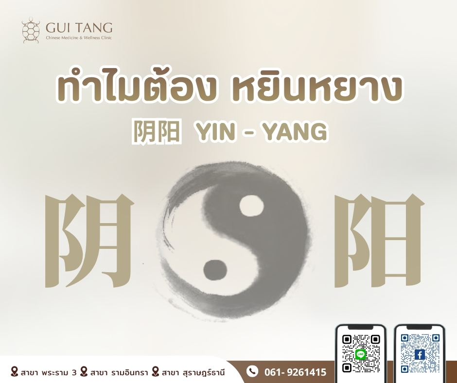 ทำไมต้อง 阴阳 YIN - YANG