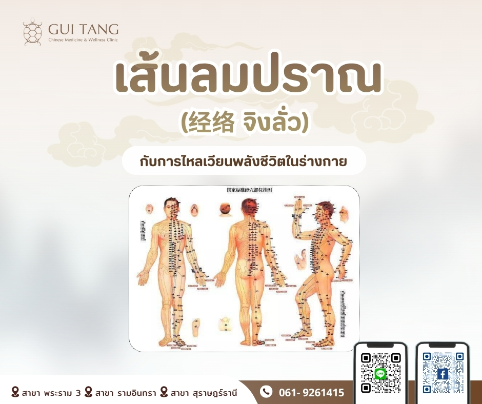 เส้นลมปราณ (经络 จิงลั่ว) กับการไหลเวียนพลังชีวิตในร่างกาย
