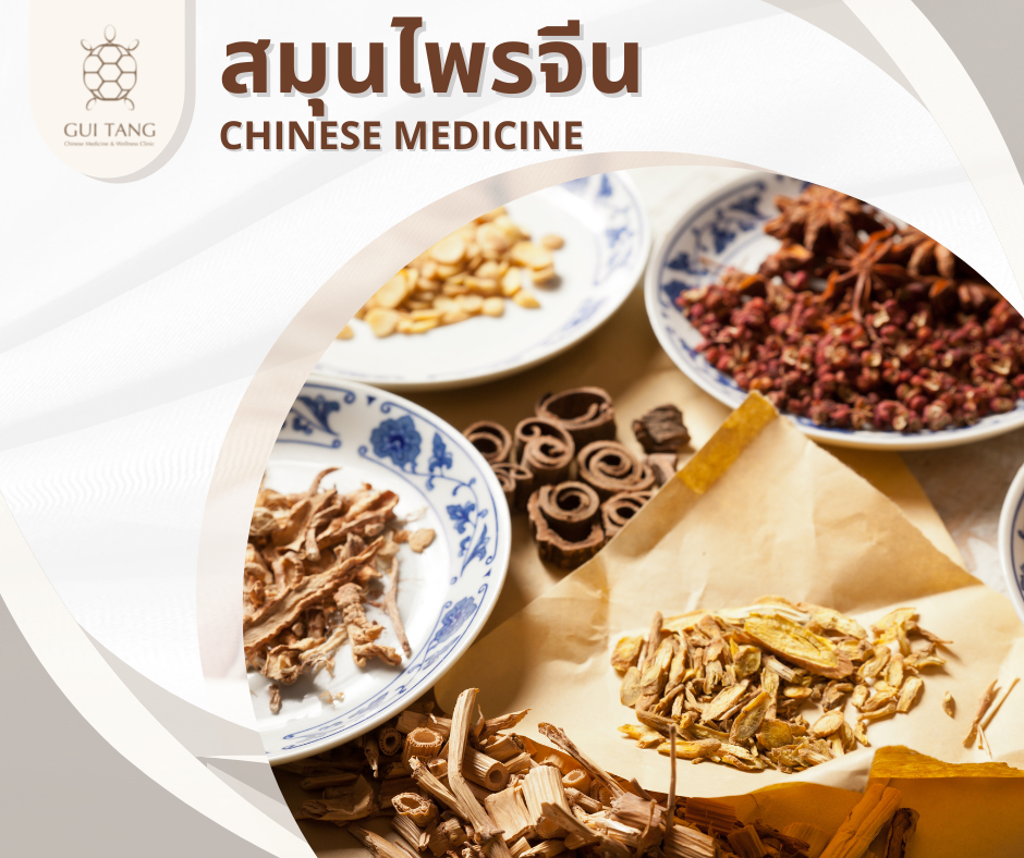 ยาสมุนไพรจีน CHINESE HERB 