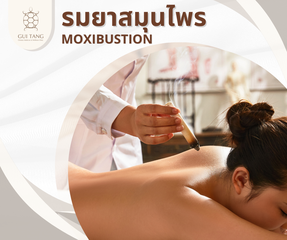การรมยา MOXIBUSTION 