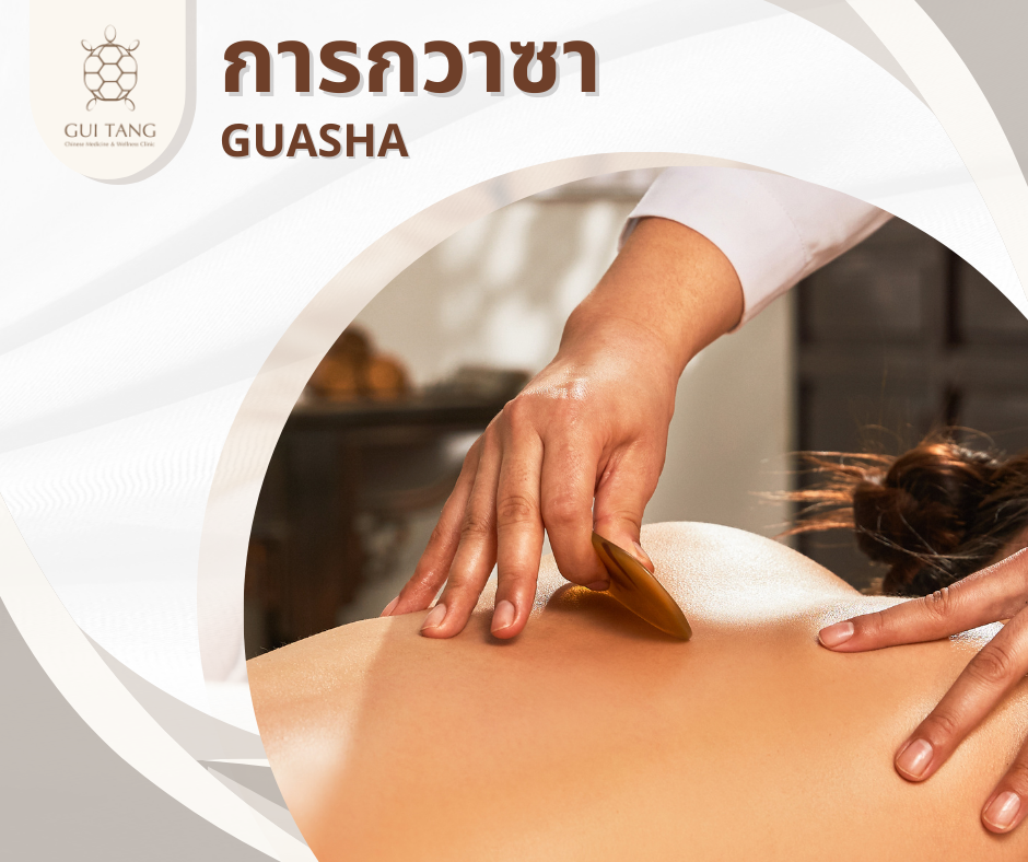 การกวาซา GUASHA 